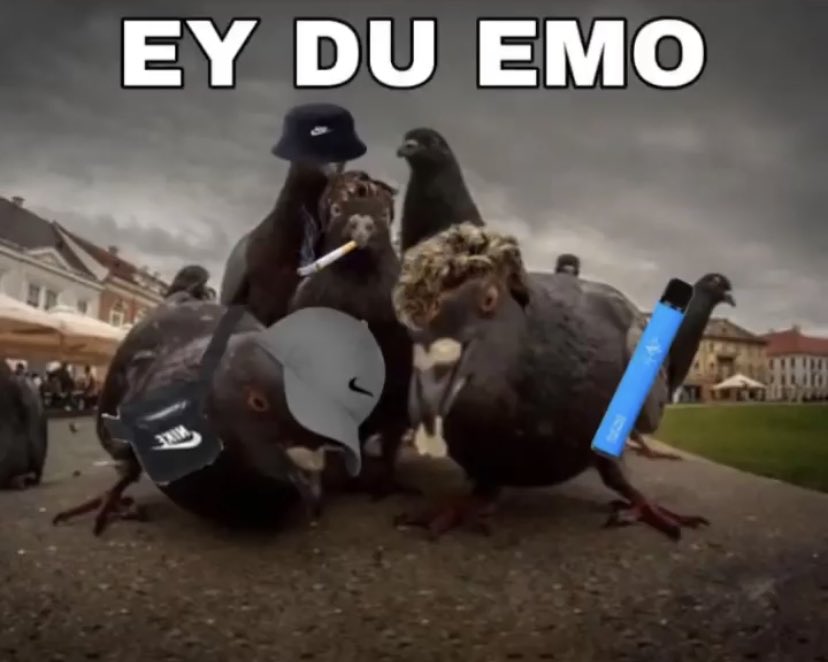 Klischeeemo tweet media