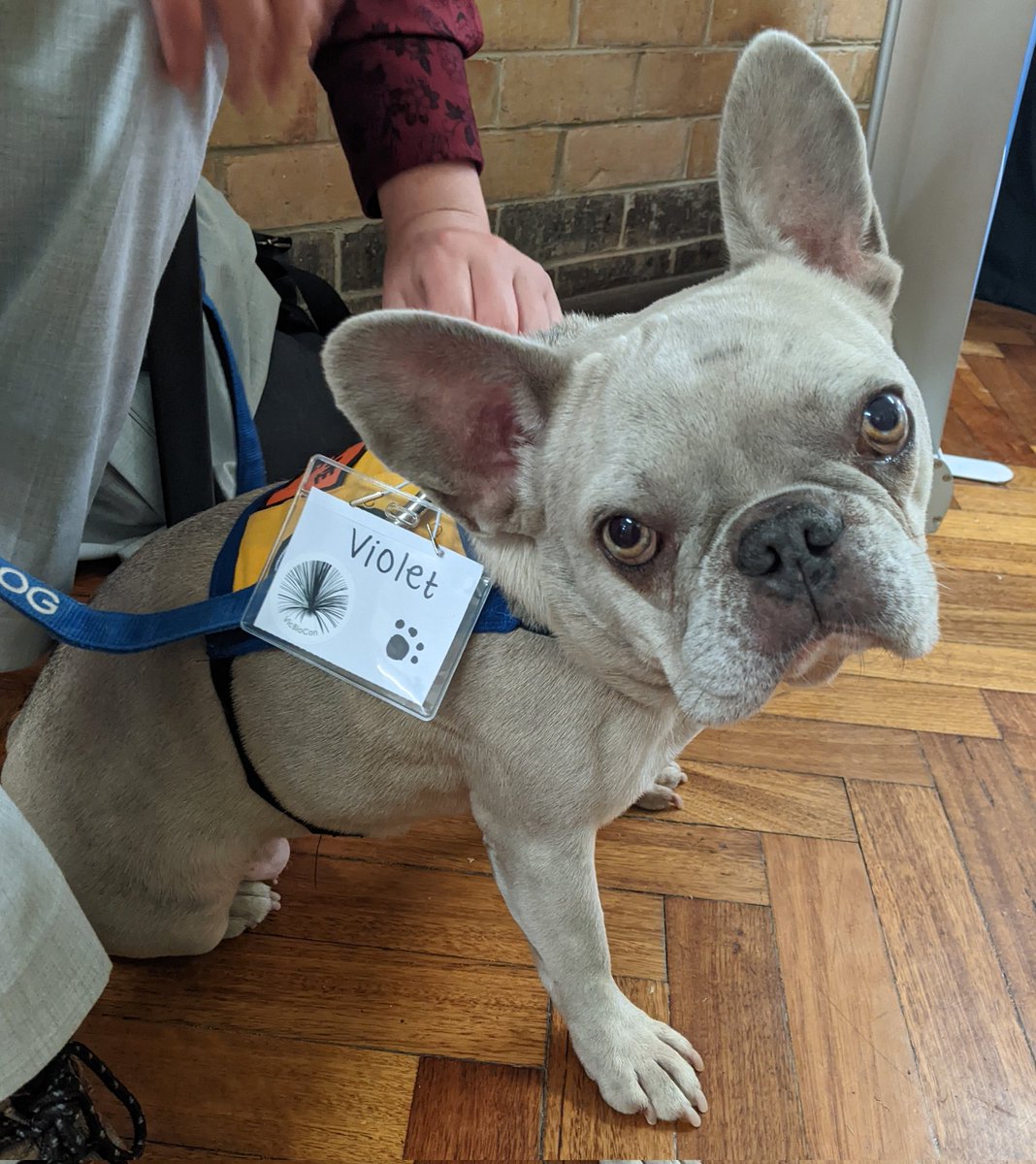 VicBioCon's tweet photo. Violet is definitely our cutest #VicBioCon23 attendee so far 🐶 https://t.co/ec196ioXgs