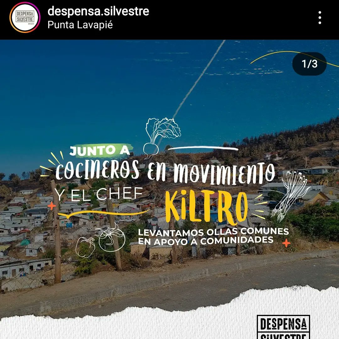 oficial_cem's tweet photo. Trabajando en esta catástrofe del sur junto a las migas de #despensasilvestre @DespensaSilv https://t.co/xiD2ZD5DPs