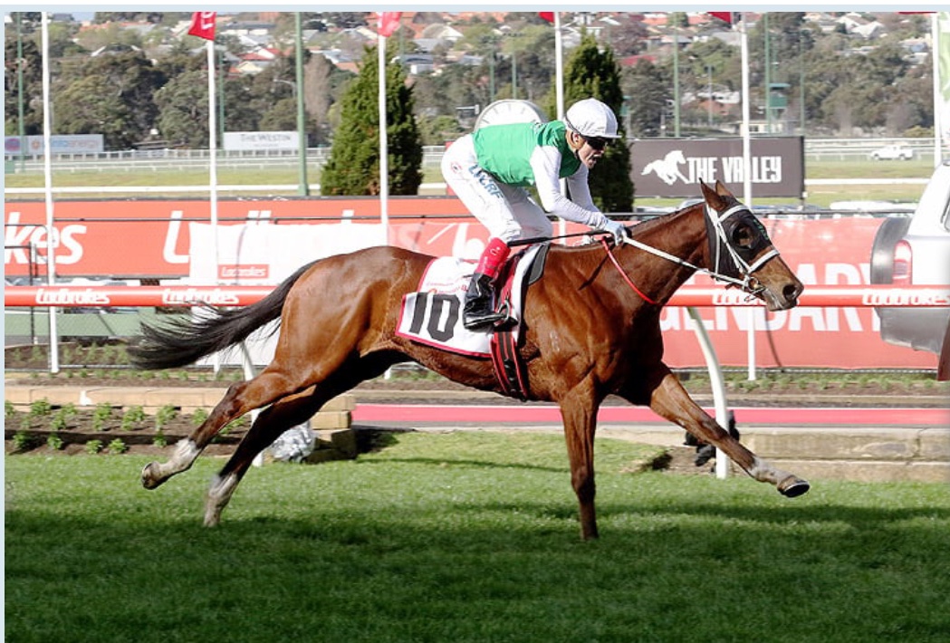 Come on Australasia if you’re unsure who to vote for in the AllStar Mile give a thought to supporting  the little Tassie Star THE INEVITABLE who has an outstanding record and in this preparation is 4 from 4 and overall 14 wins from 27 starts and over $1m in stakes.