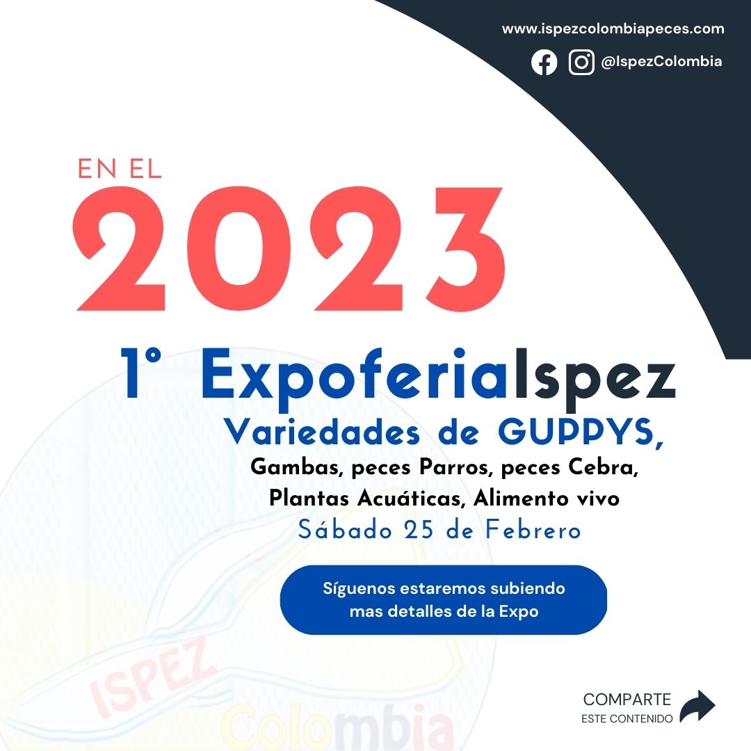 IspezColombia's tweet photo. PRIMERA EXPOFERIAISPEZ 😎
👇Menciona a ese amigo o amiga que le encantaría asistir 😂 https://t.co/wczCcoxehN