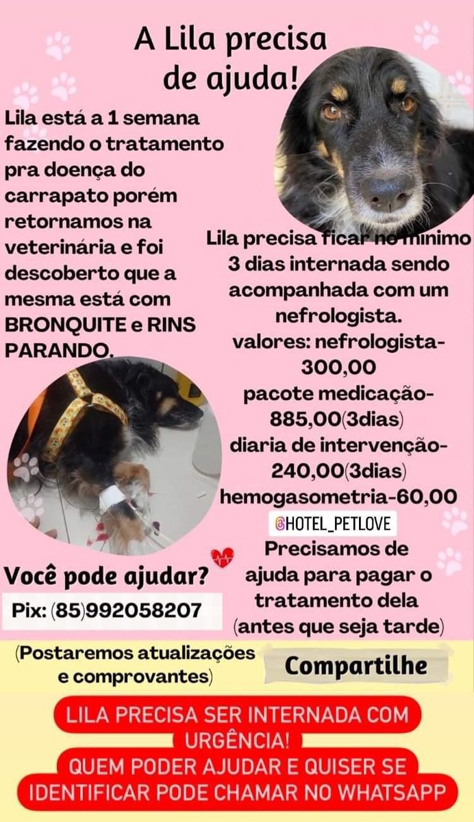 flordemel8's tweet photo. @choquei https://t.co/aS3CJguC1S