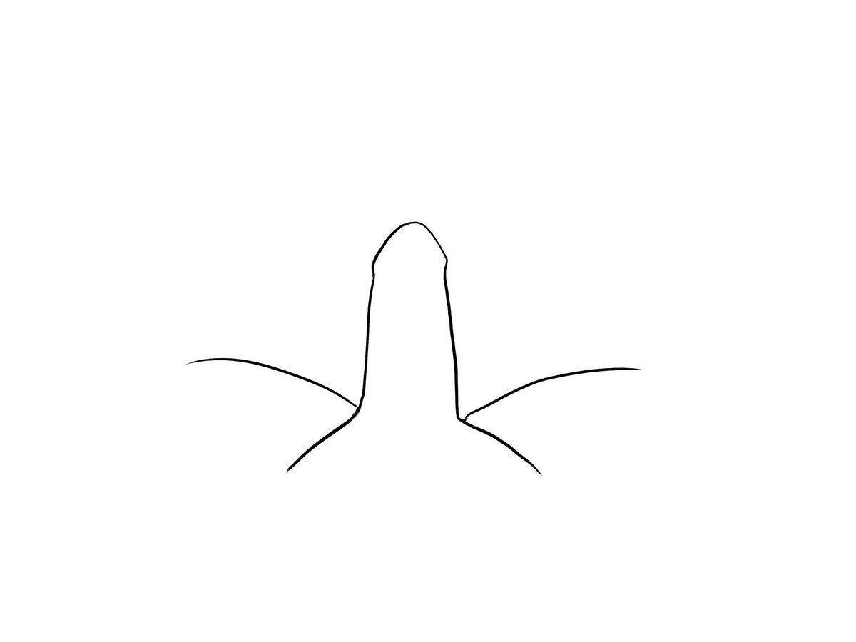 🎨Finish this drawing :