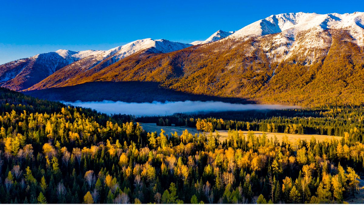 EXinjiang's tweet image. 🏔️☀️🏞️
When the morning fog lifts, the quiet #Kanas comes into view, a vast expanse of blue water flowing quietly, #snowcappedmountains, #forests, #lakes and #grasslands reflecting each other! 

#Xinjiang #China #travel #nature #picture #photo #scenery #beauty