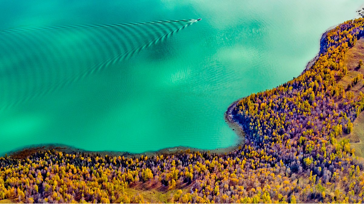 EXinjiang's tweet image. 🏔️☀️🏞️
When the morning fog lifts, the quiet #Kanas comes into view, a vast expanse of blue water flowing quietly, #snowcappedmountains, #forests, #lakes and #grasslands reflecting each other! 

#Xinjiang #China #travel #nature #picture #photo #scenery #beauty