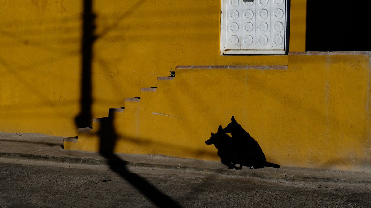 Lee Feiner tweet media