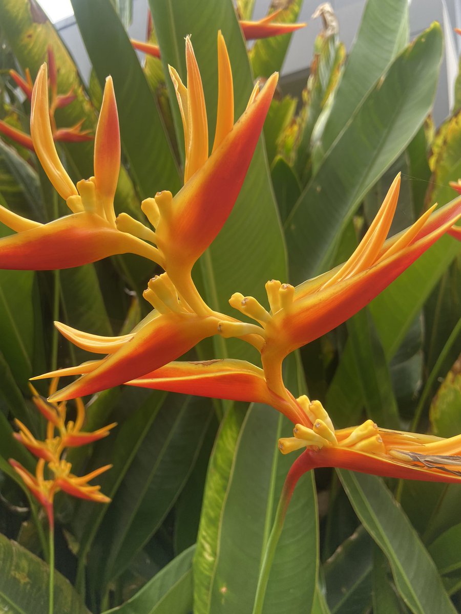 UQ #ACERE2023 outside view