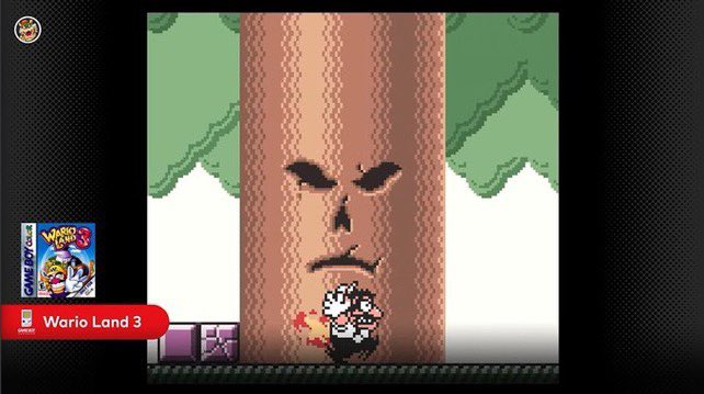 Awesome Wario Land Facts tweet media