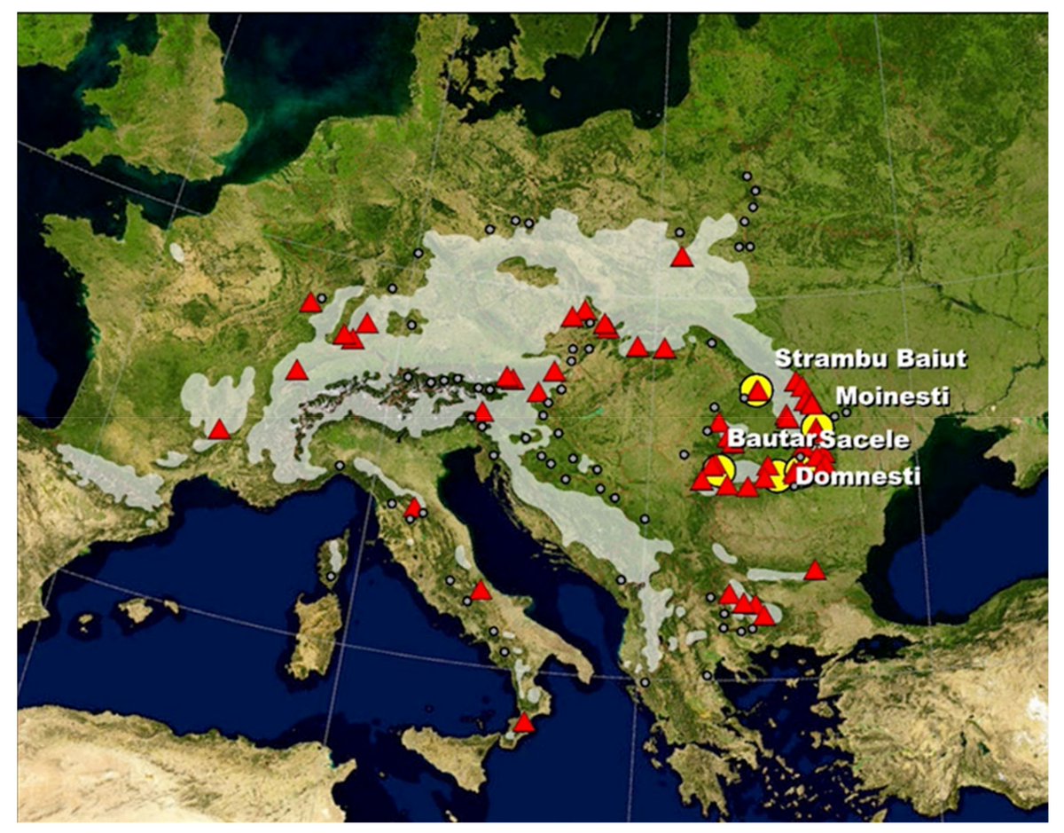 MDPIEnvironment's tweet photo. 🌲#Forests🌲High-Cited Paper in 2021🌈
"Intraspecific #Growth Response to #Drought of Abies alba in the Southeastern Carpathians", by Georgeta Mihai et al. 🎉
📚Read more here👉
https://t.co/8kwY2idy5h
🌳#silverfir #radialgrowth #woodcharacteristics #climatechange 
#OpenAccess https://t.co/uGEbs2kQDo