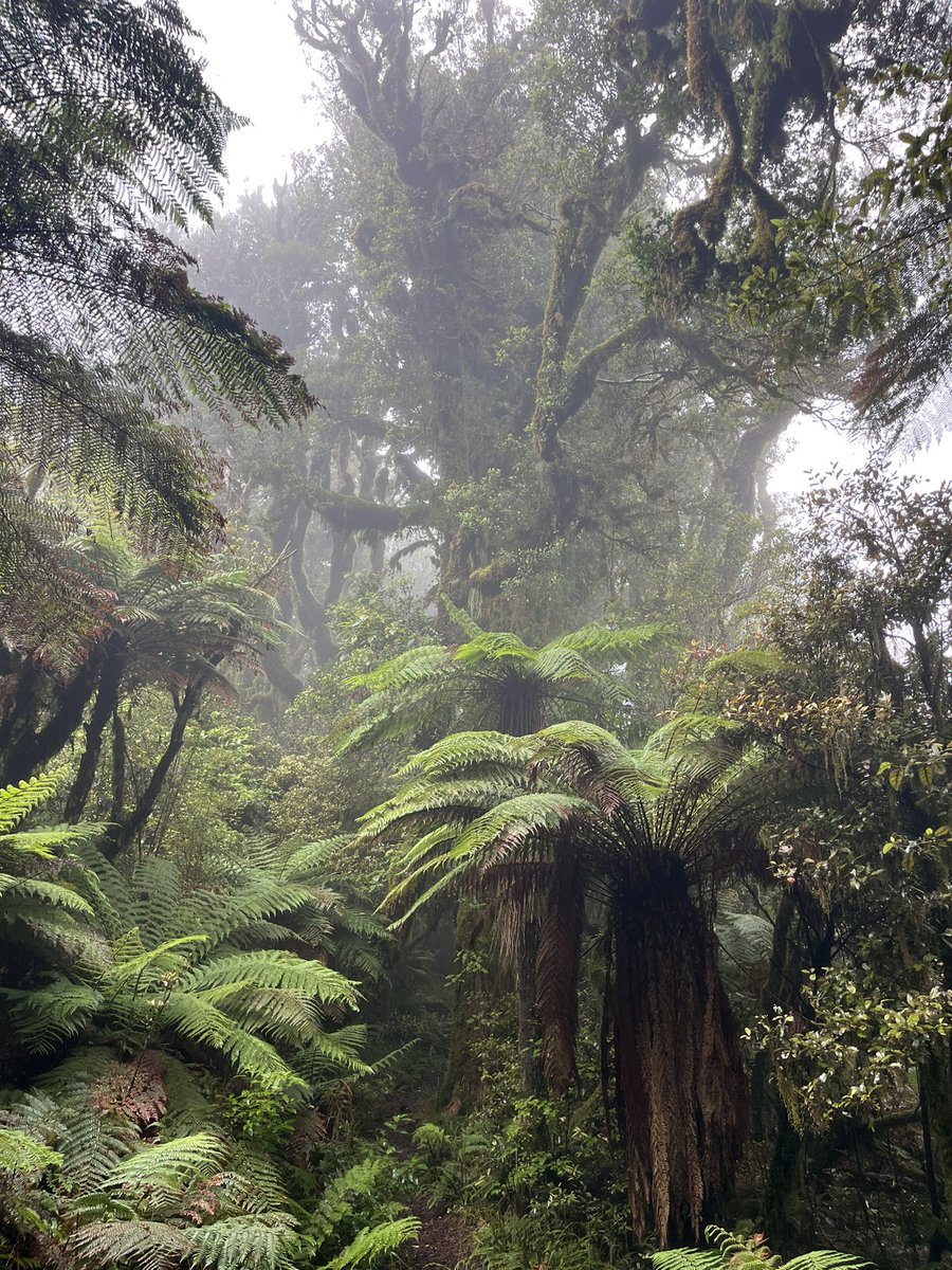 VARG_EAS's tweet photo. Goodbye New Zealand. It was good to meet you, hopefully we will see each other again soon. #iavcei2023 https://t.co/ceeWuFGkGU