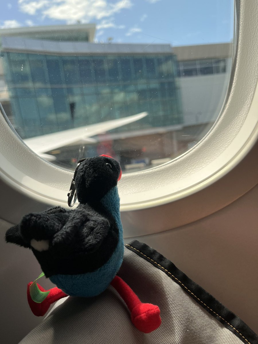 VARG_EAS's tweet photo. Goodbye New Zealand. It was good to meet you, hopefully we will see each other again soon. #iavcei2023 https://t.co/ceeWuFGkGU
