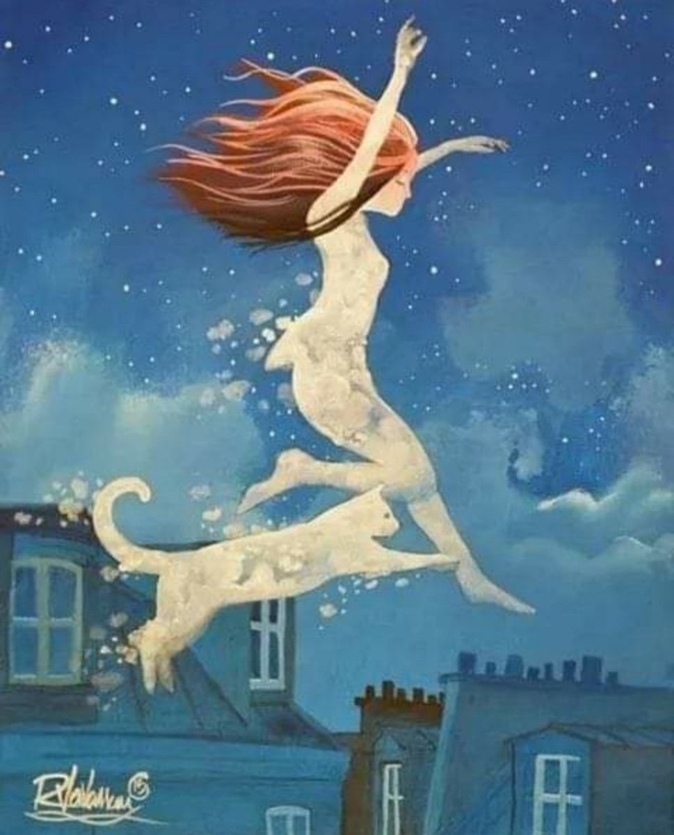 KalenaOrKArr's tweet photo. In my dreams my cat follows...#cats #Kitarocommunity https://t.co/qdXF4eBDIP