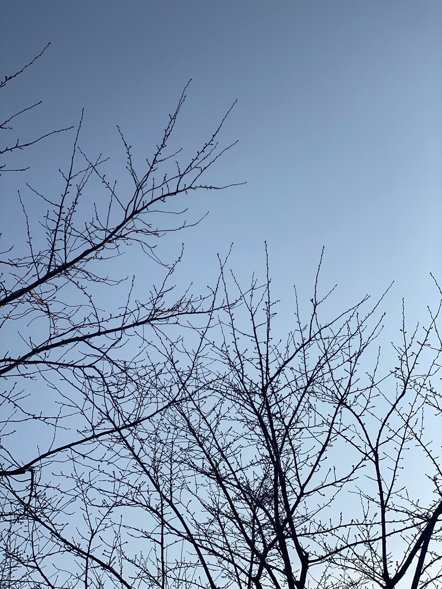 ssena__big's tweet photo. 오늘도 산책완료! 평소보다 좀 늦게나갔는데 오히려 손발시려운게 없어서 좋았다.
해가 쨍한게 좀 맘에 안들었지만 그것도 나름 포근해서 괜찮았다.
아침마다 허리가 조금씩 계속 아프다.. 그래도 움직여야지🥲
#울산 #세자리 #뚱녀 #뚱뚱 #비떱 #BBW #아침산책 https://t.co/tPjD1dudDy