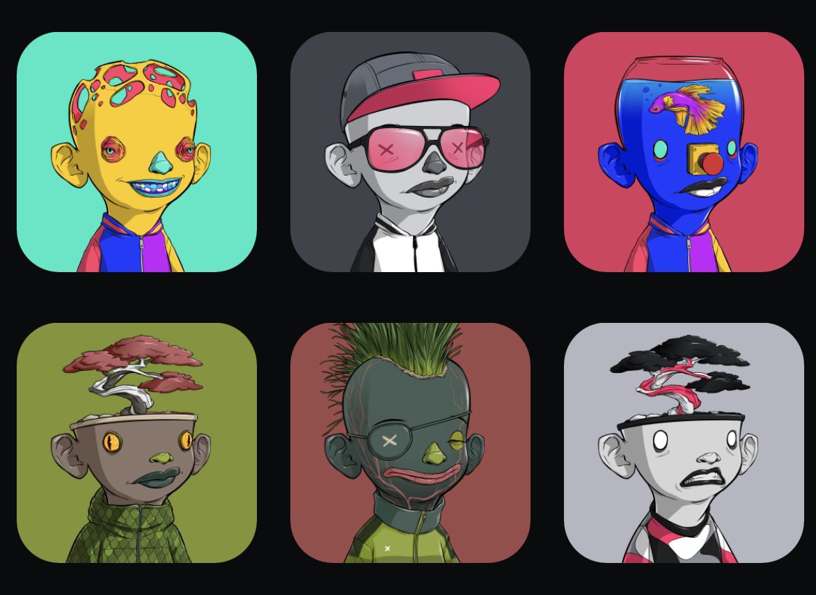 aceadame's tweet photo. The only NFT project I stay up with. Canβt wait to send my little misfits into the void! #AlphaElementary #AE #alpha https://t.co/KCs4rboexJ