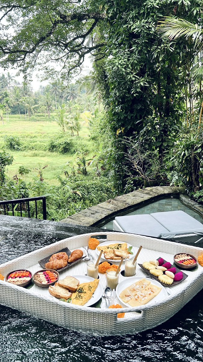 _joannaag's tweet photo. enjoying my breakfast while looking out on the jungle 🌴 life is good https://t.co/WQNFbJInwj