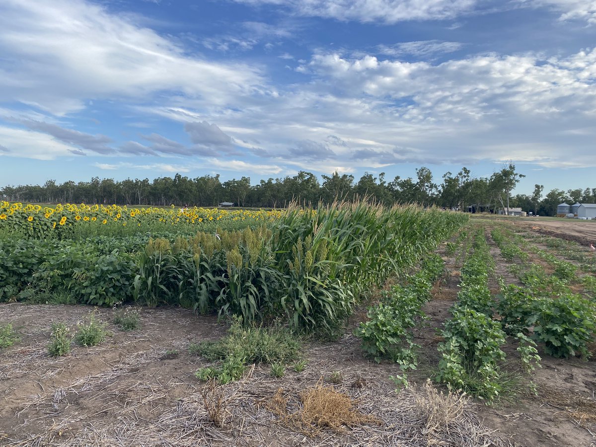 Richard Jackman tweet media