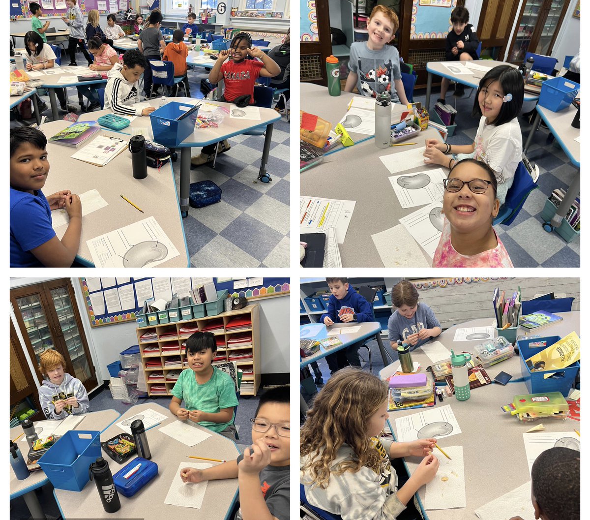 mrsdemieri's tweet photo. We had so much fun dissecting LIMA BEANS today! @FPBSchools https://t.co/x49gHn2JfG