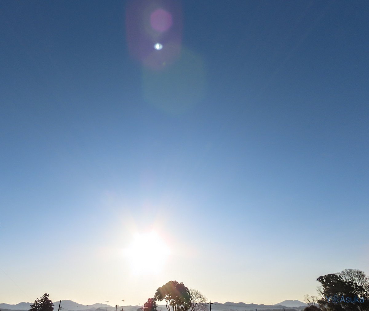 yumeasutw's tweet photo. #青空 にお日様燦々✨西の空に淡い🌖お月様が残る冷えた朝☀️
#鳩 の群れが飛んで行きます🕊️

予想最高/最低気温🌡️10℃/-3℃
晴れ☀️
お洗濯日和👕👖午後は北風が吹き寒そうです🌬️➰➰

#空の名前
#天気の図鑑
#月 #moon #居待月 (月齢18.1)
#カワラバト #河原鳩 #Rock_Pigeon
#a2023 #a0209 #a202302 https://t.co/2w36qnhwMt