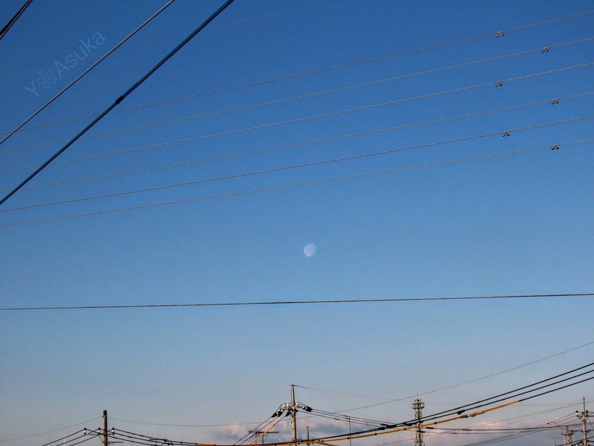 yumeasutw's tweet photo. #青空 にお日様燦々✨西の空に淡い🌖お月様が残る冷えた朝☀️
#鳩 の群れが飛んで行きます🕊️

予想最高/最低気温🌡️10℃/-3℃
晴れ☀️
お洗濯日和👕👖午後は北風が吹き寒そうです🌬️➰➰

#空の名前
#天気の図鑑
#月 #moon #居待月 (月齢18.1)
#カワラバト #河原鳩 #Rock_Pigeon
#a2023 #a0209 #a202302 https://t.co/2w36qnhwMt