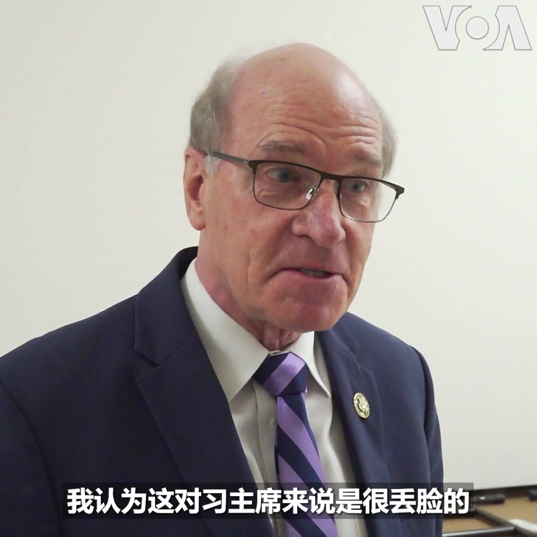 He Qinglian (HeQinglian) / Twitter