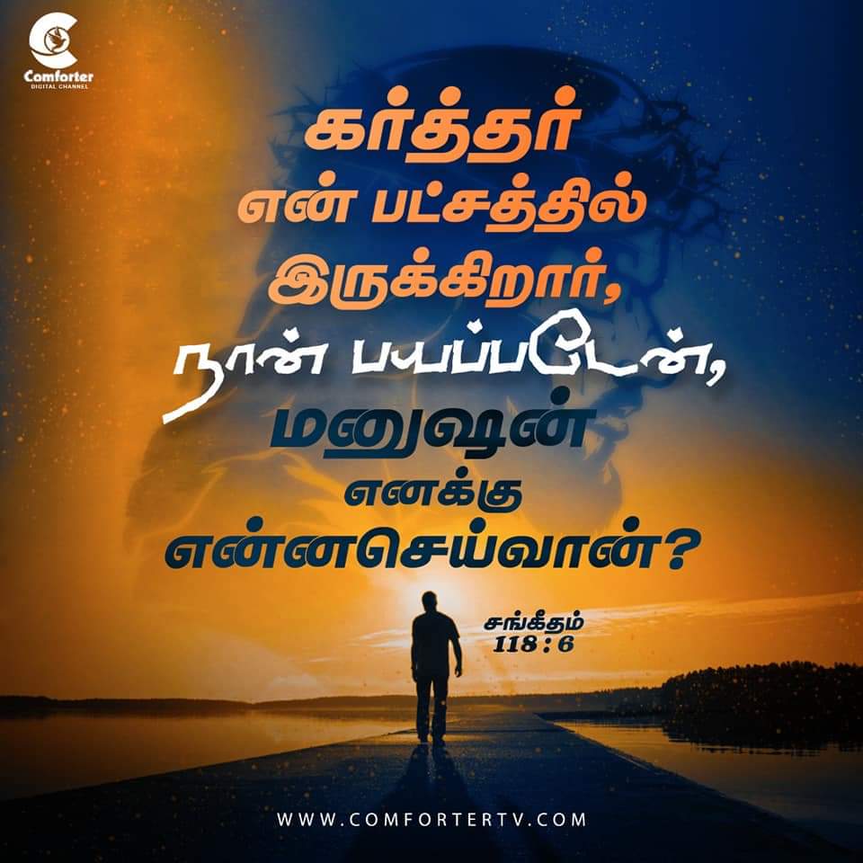 KittyTwitz's tweet image. #Feb9th  Blessed #Thursday 💐
#WorldRevival @elonmusk
#RevivalofIsrael @Israel @IsraeliPM
#RevivalofIndia @narendramodi @AmitShah @RahulGandhi
#RevivalofChennai @arivalayam @Veera284
#RevivalofEngland @RishiSunak @trussliz
#RevivalofItaly @Italy
#RevivalofSriLanka @RW_UNP