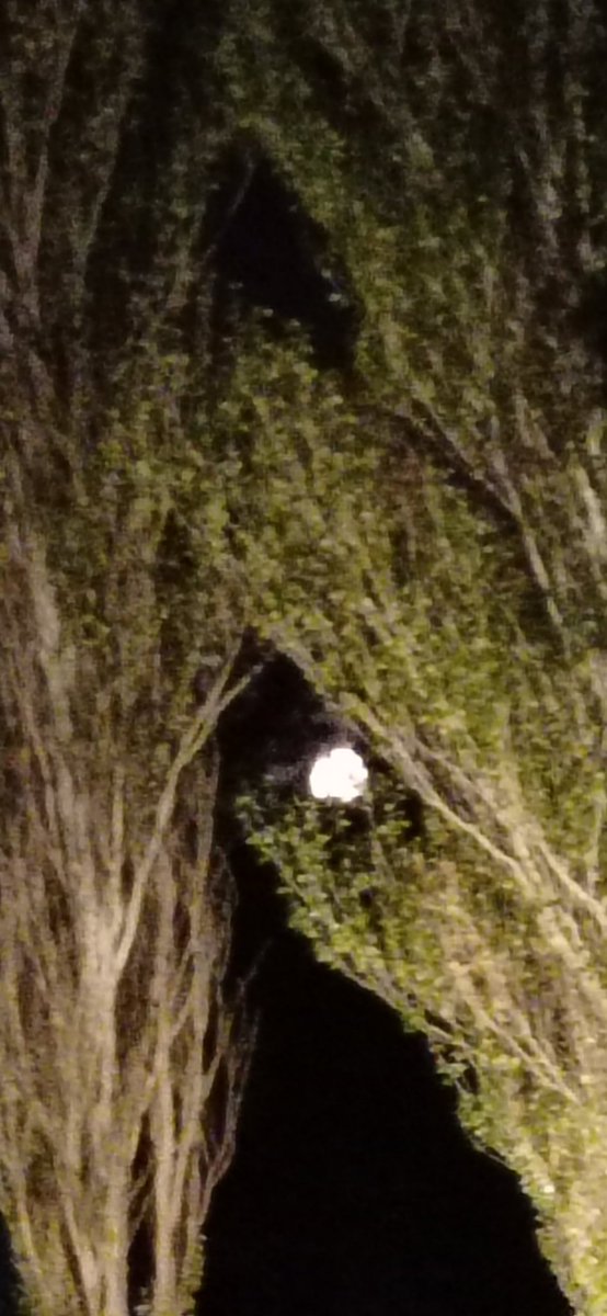 Buenas noches!! Hermosa luna ❤️❤️❤️