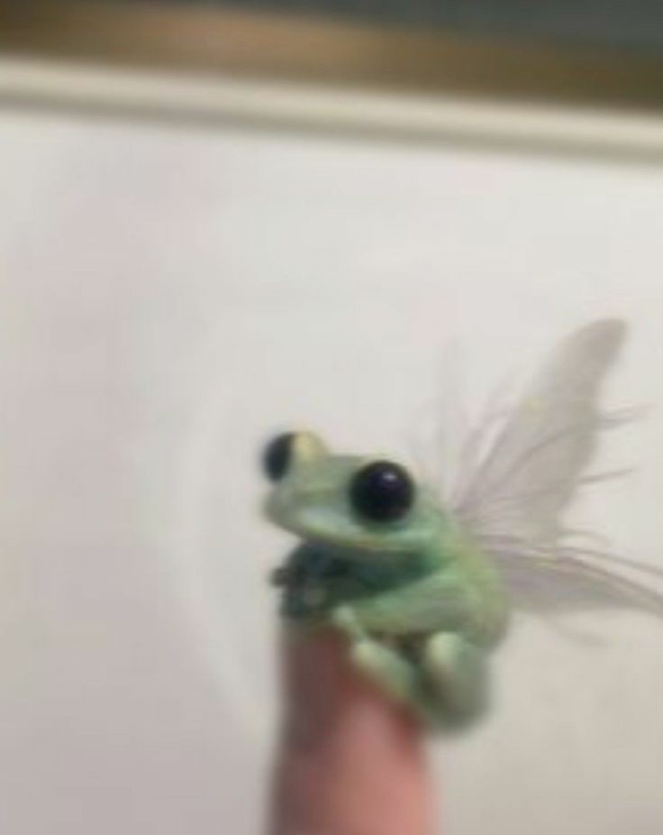 🌱🌷🍵🧚🏻‍♀️🐸👗