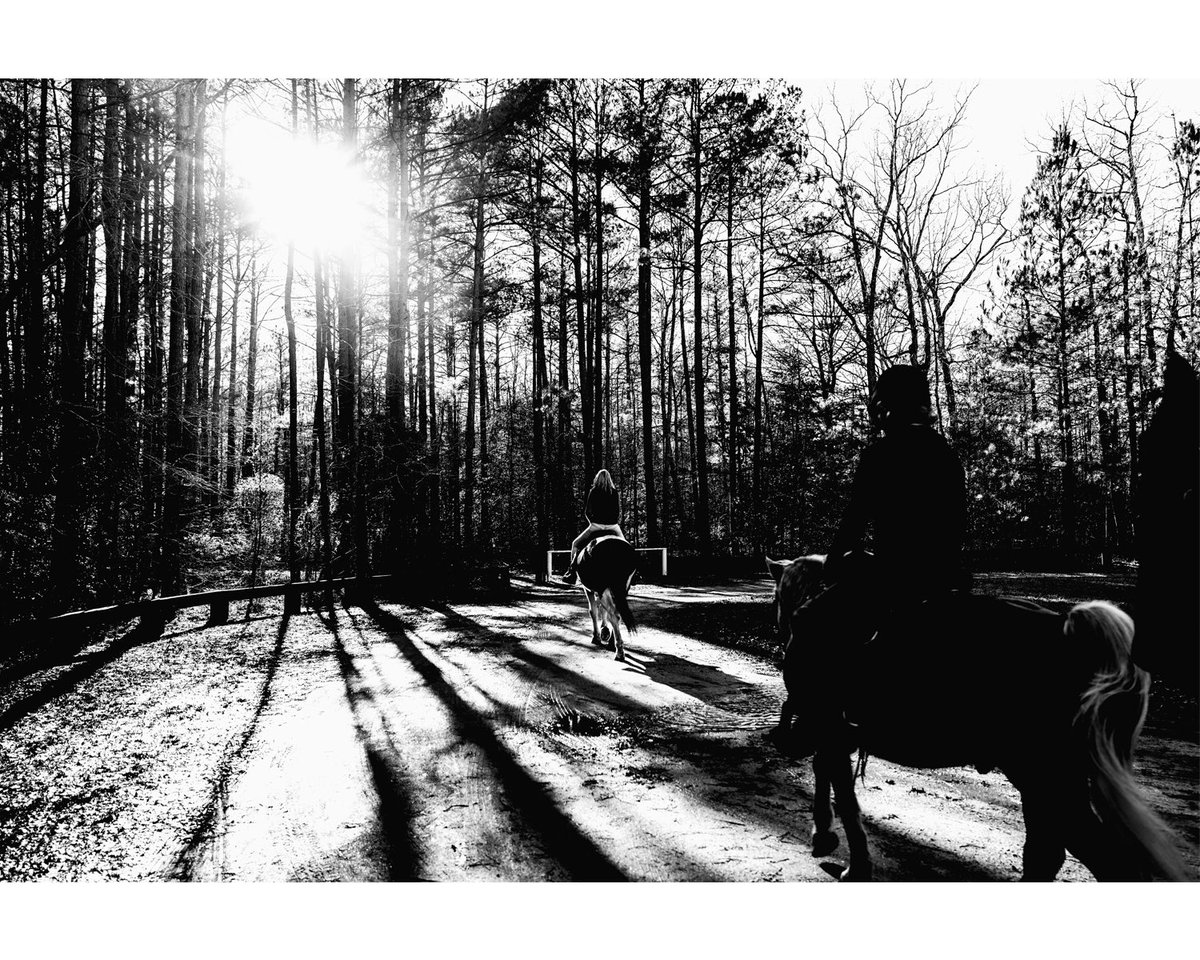 wesszabo's tweet photo. Follow My Lead… 

Copyright Wes Szabo
#bnw_captures #bnwphotography https://t.co/ezQkF5Vcvn