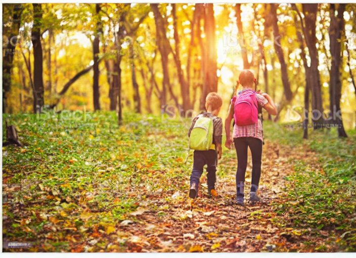 Leonardo Caravaggio tweet media