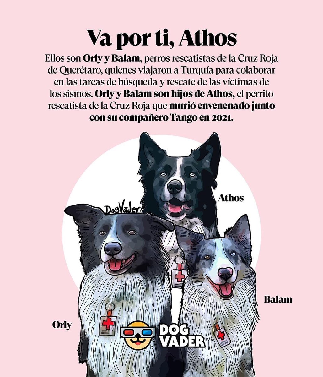 mamiblue2015's tweet image. #Athos #Tango siempre presentes 🧡🧡🧡