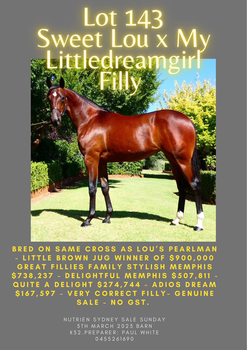 SarahWhites58's tweet photo. Lot 143 Sweet Lou x My Littledreamgirl Filly. Nutrien Sydney Sale. Sunday 5th March 2023. https://t.co/AhnFjSQ0JV