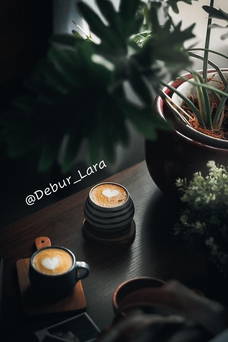 Debur_Lara's tweet photo. 🌨️
#SecangkirHujan
Terkadang aku rindu sapamu
Sekedar mengatakan "Selamat Pagi"
#RangkangPuisi
🍃 https://t.co/QnNOIDOCeb