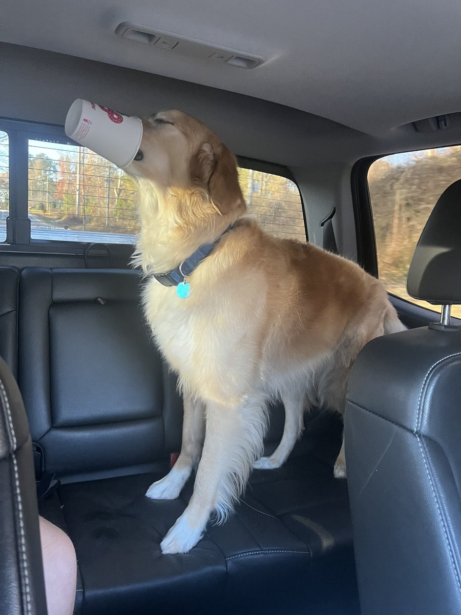 Leonard Thompson tweet media