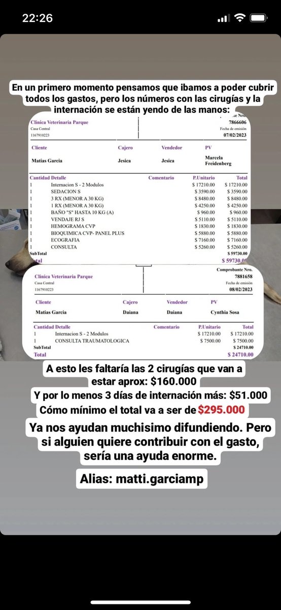 lagarzasosa_'s tweet image. Les cuento de la perrita de ayer
Los chicos que la rescataron se enteraron hoy que ella necesitan 2 cirugías más para poder caminar y también tratarle un tumor  
Si entre todos ayudamos, lo hacemos posible! lo que puedas todo suma 💞
Nos ayudas?
Rt por favor y muchas gracias