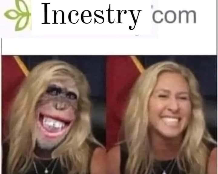 TrashyChic's tweet image. 