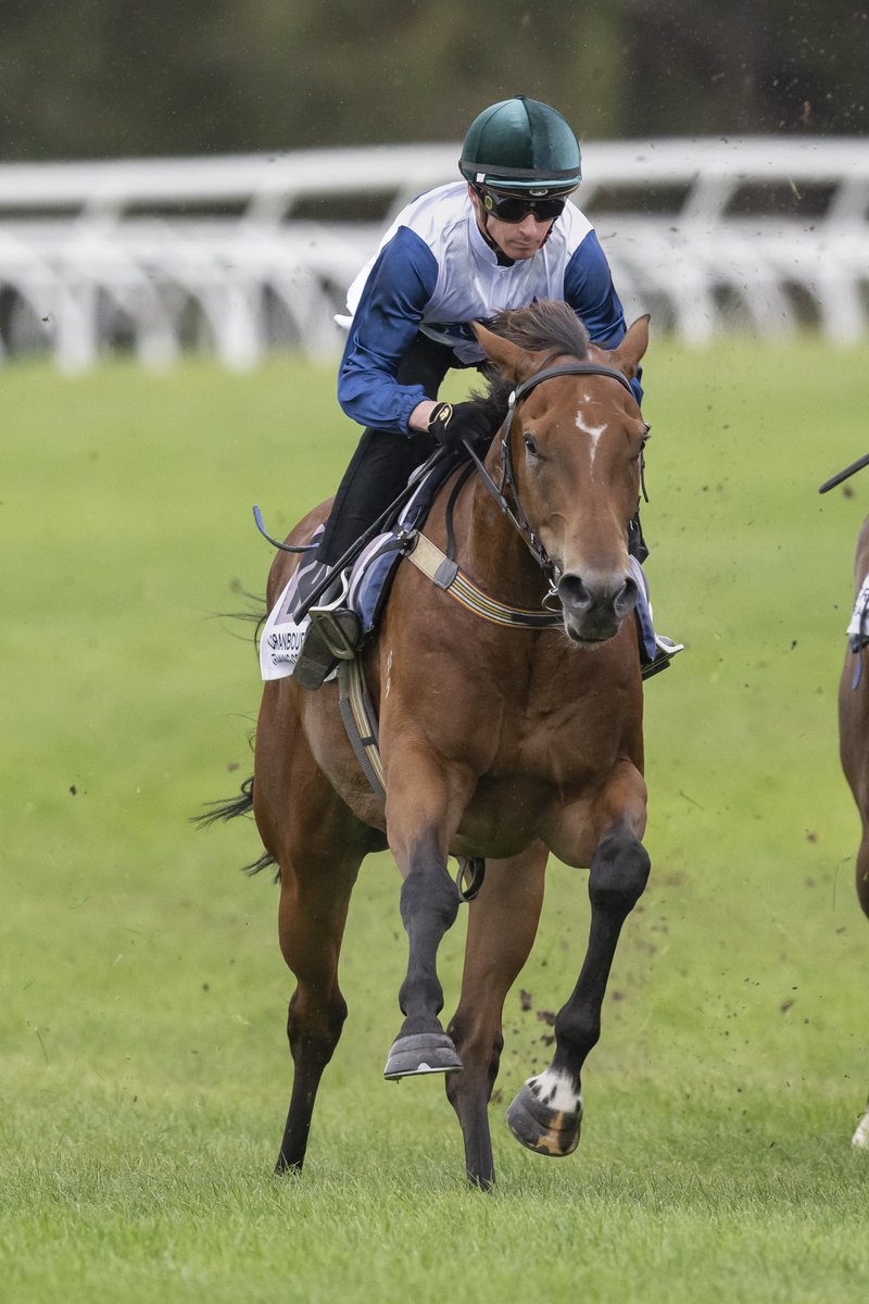 Anthony Freedman Racing on Twitter: 