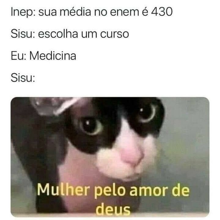 kauã araujo  tweet media