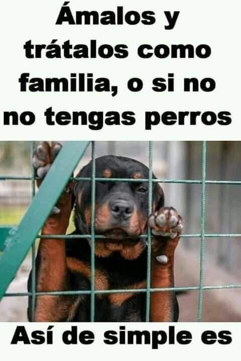 Así de simple