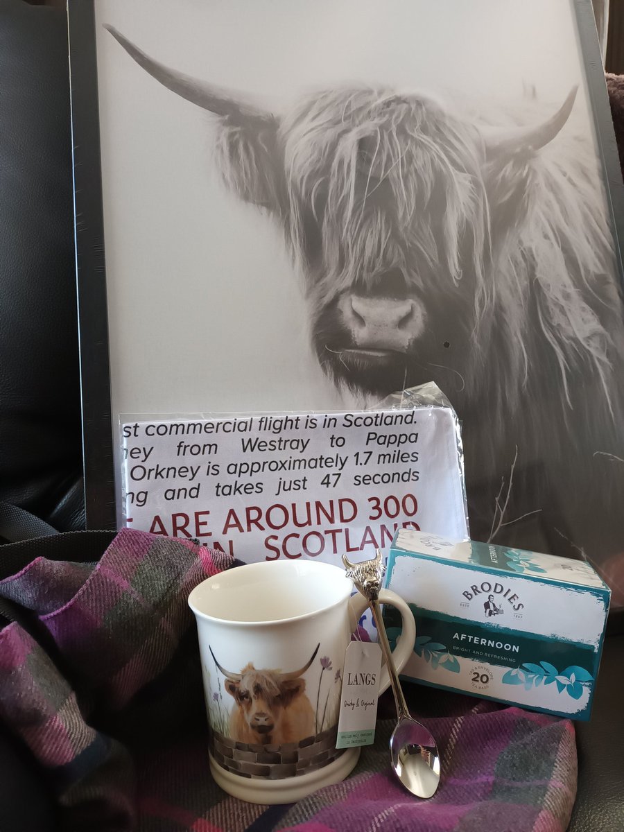 #wheresWeeBox my gorgeous Weebox items which go oh so well with my pre Christmas gift of a Highland Cow print from hubby. I love these wee beasties! Thank you #Weebox