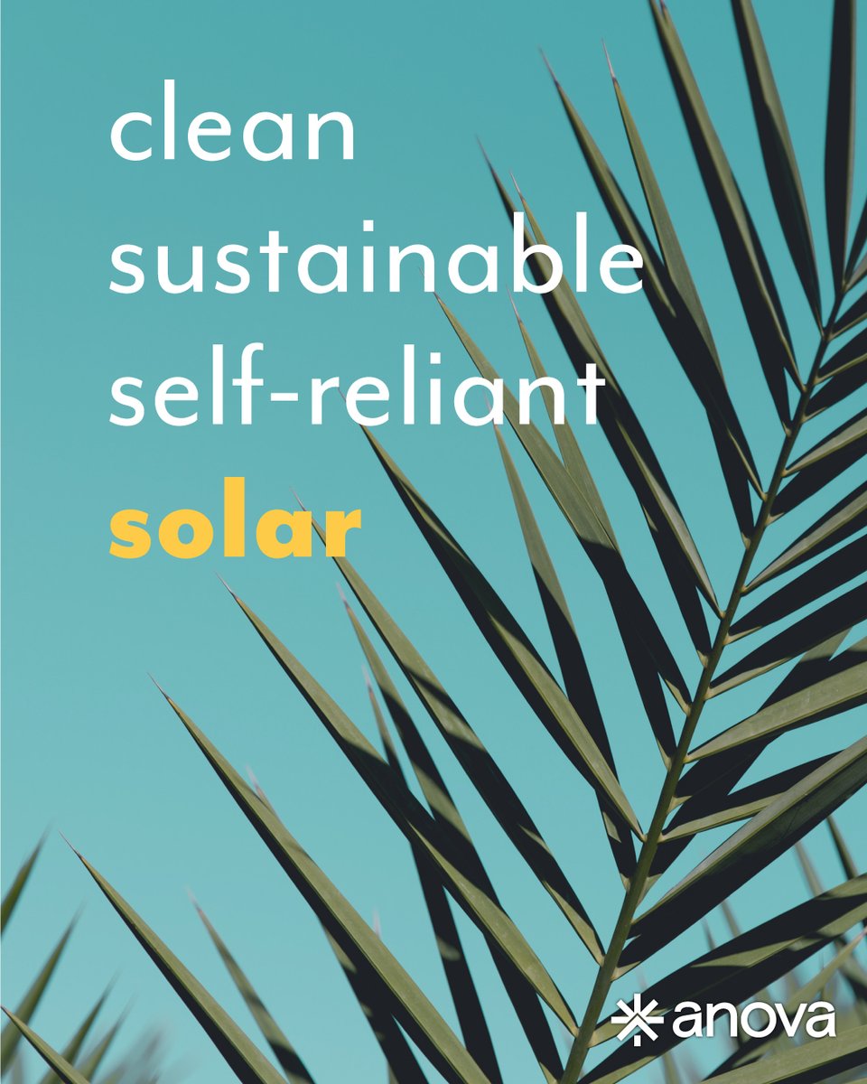 anova_solar's tweet photo. Does it get any better? Clean, eco-friendly energy you can generate on your own. 💛Going solar is a win-win. 💯 https://t.co/YdO887zftU