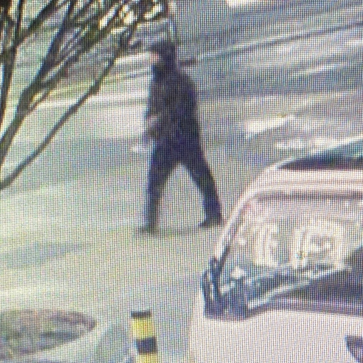 Investigators are seeking witnesses, security footage &amp; info from those who were in the area after a glass-smashing spree early this morning left 6 downtown businesses with broken storefront window. #yyj | vicpd.ca/2023/02/08/wit…