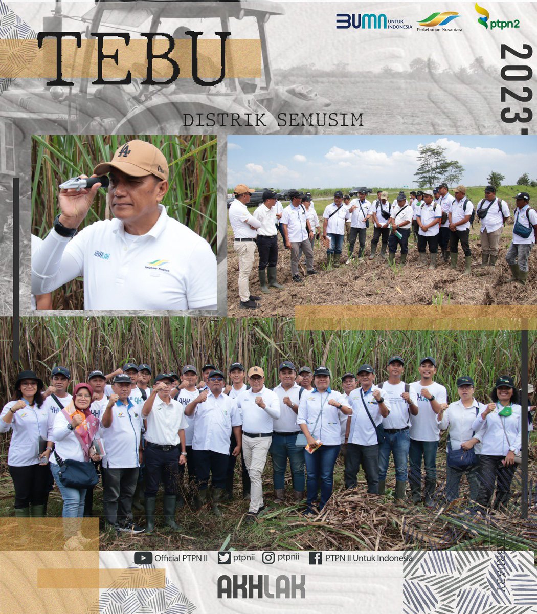 ptpnii's tweet photo. Direktur PTPN 2 Bapak Irwan Perangin-angin melakukan kunjungan kerja ke kebun Tanaman Semusim (tebu).
Selengkapnya di https://t.co/Og9IV7qaRI
@KemenBUMN @holding_ptpn
#ptpn2 #ptpnii #ptpnjayaberkahjuara https://t.co/DzjvfbrWMQ