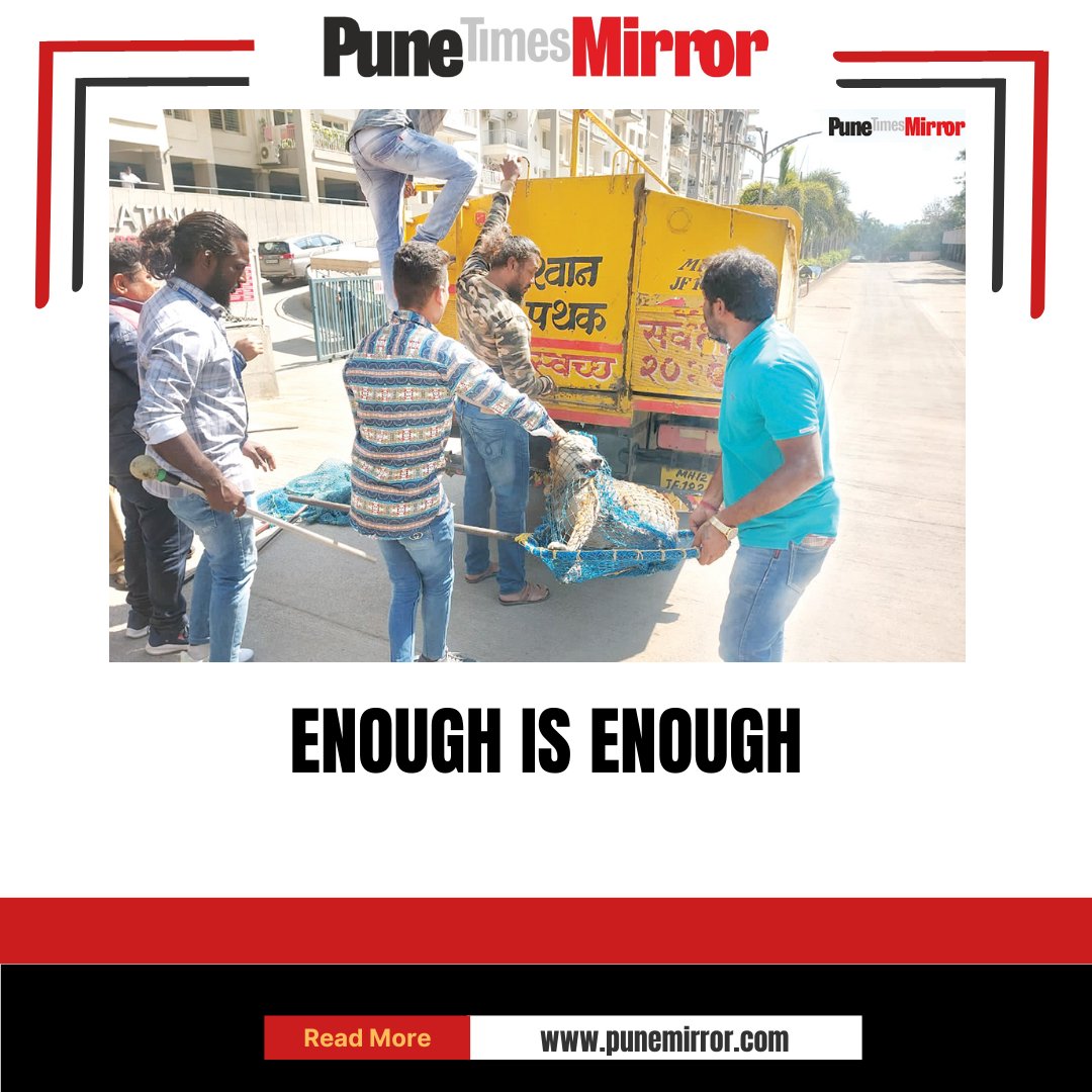 ThePuneMirror's tweet photo. The tide has turned at Bramha Suncity in Wadgaon Sheri. It’s the residents, who had been hounded by the stray dog menace for long, are now chasing them away.
Tap here to read more: https://t.co/KrRTBnxGoA https://t.co/JECevvLuRc