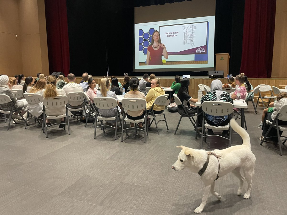 ArborWelfare's tweet photo. Children’s Mental Health Week - staff training with a focus on stress, triggers, and the sympathetic ganglion, as well as  work on the Kaplan and Wheeler ‘Assault Cycle’ and the strength of forgiveness in restorative justice sessions. #positiveeducation https://t.co/Yg5xXET9oC