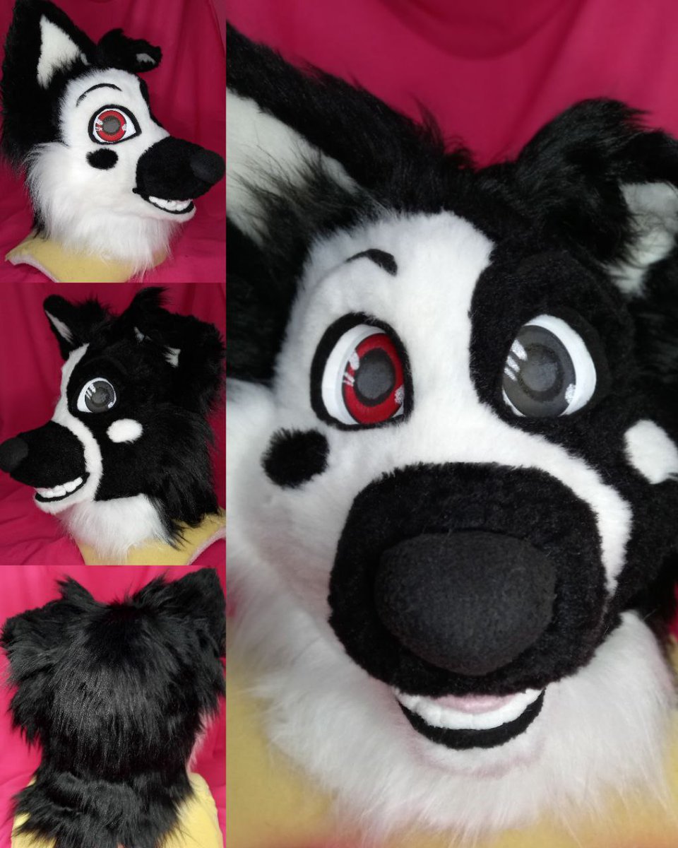 ChainaSilverfox's tweet image. Meet Tig-Zop! The seventh furhead that I made 🤍🖤🤍🖤
This one includes eyelids with magnets and a removable tongue with velcro!
This character belongs to: @Tigzop_puppy
