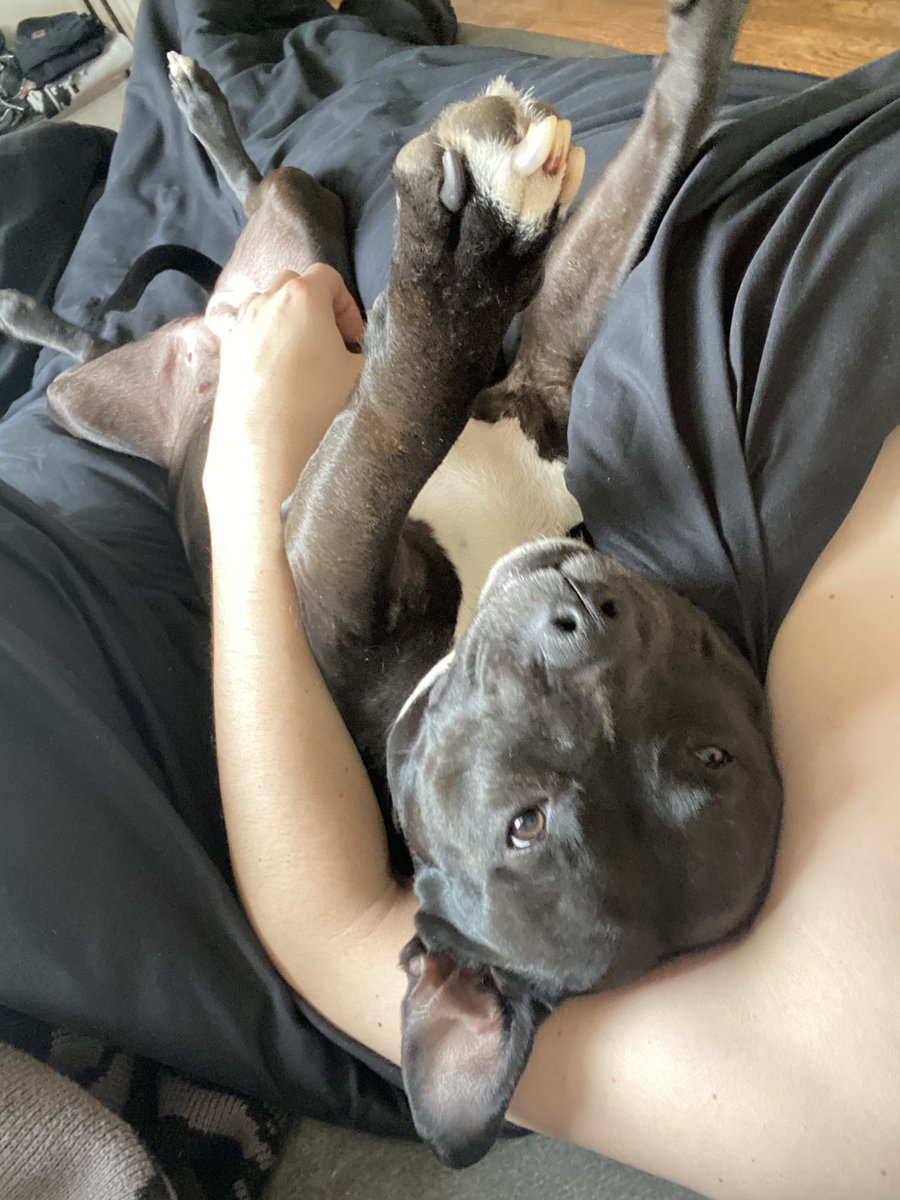 willrank13's tweet photo. Cozy bitch. https://t.co/6yPcifmnqk