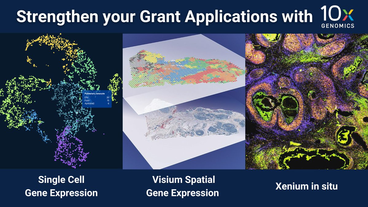 mscienceaustnz's tweet photo. Are you looking to implement #SpatialBiology or #SingleCell technologies into your grants?

Strengthen your application by using these  grant application resources ➡️https://t.co/2FfjwSDmJ7

#LorneCancer2023 #LorneCancer #LorneGenome #LorneGenome2023 https://t.co/oZH3ouFn2e
