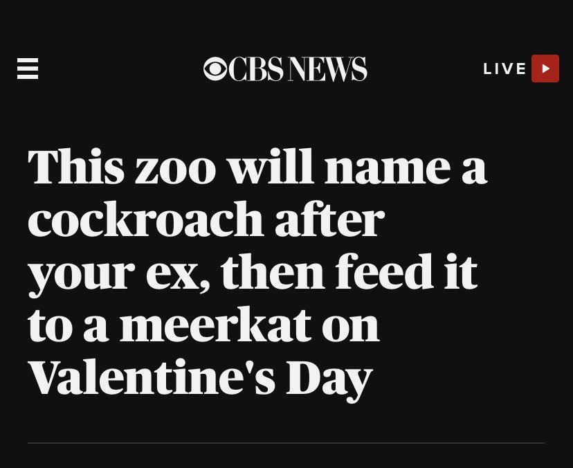Zeeohhee's tweet photo. my favorite Valentine’s Day tradition and it’s not even close https://t.co/is9so28QoS