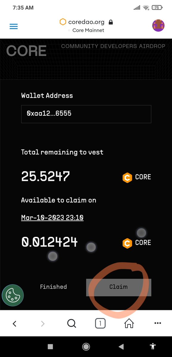 COREDAOPROGRESS tweet media