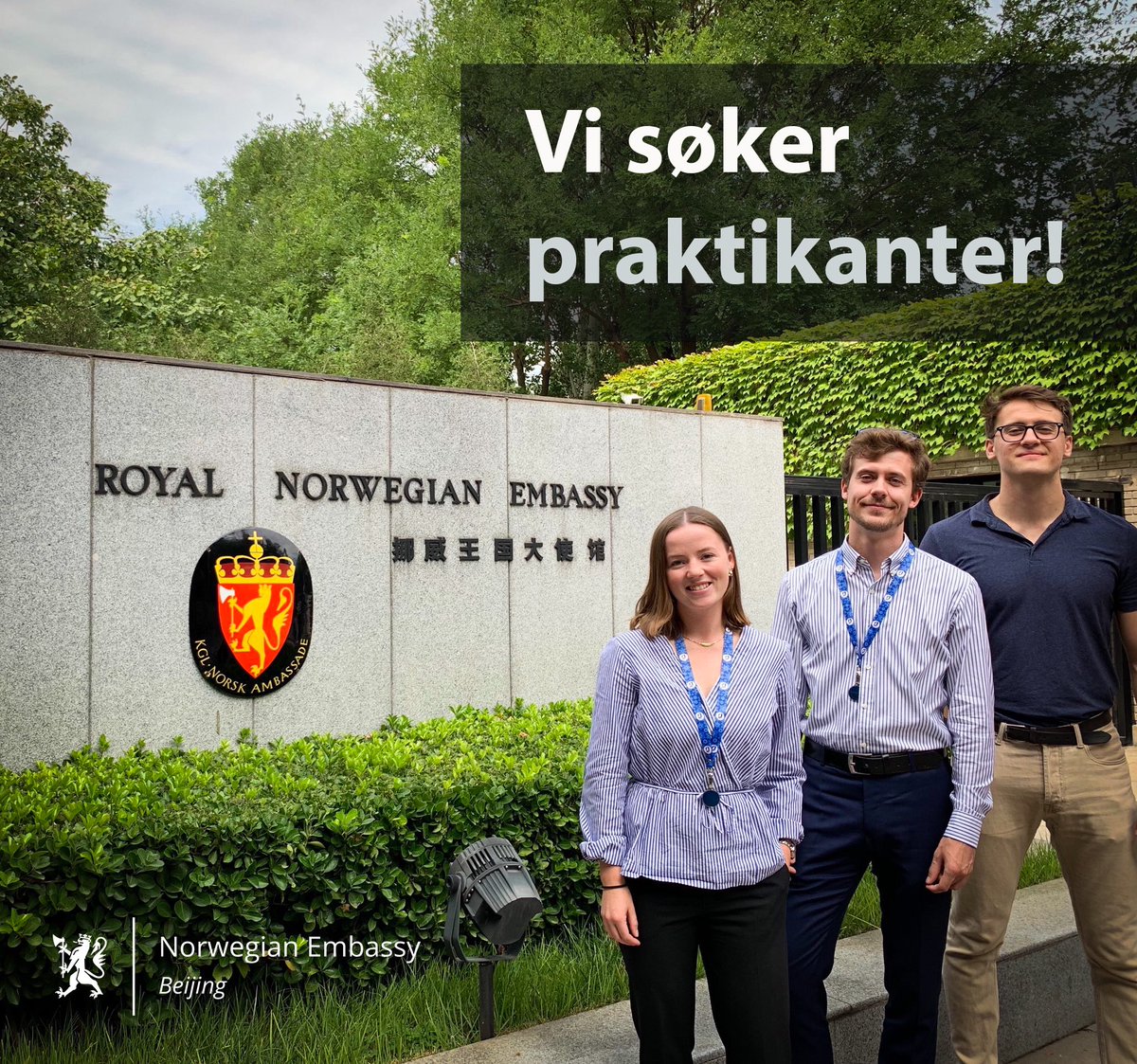 NorwayinChina's tweet photo. Endelig søker vi studentpraktikanter igjen! Søk her: https://t.co/h3YeLcXonf https://t.co/WDnrRGkulE